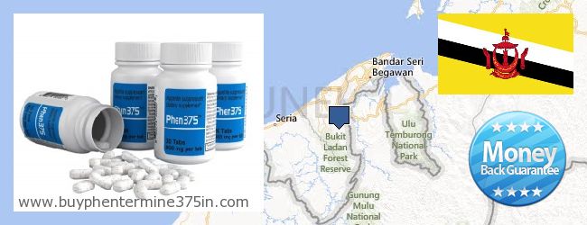Gdzie kupić Phentermine 37.5 w Internecie Brunei